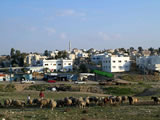Maha El Taji and Jamal Dagash